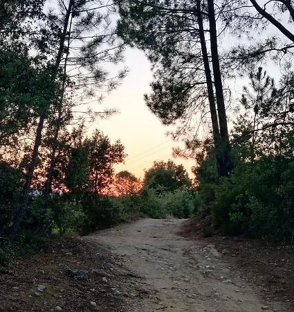 La Closerie De La Ceze Tatil Evi Cornillon