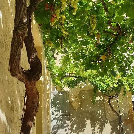 Hébergement de vacances La Closerie De La Ceze