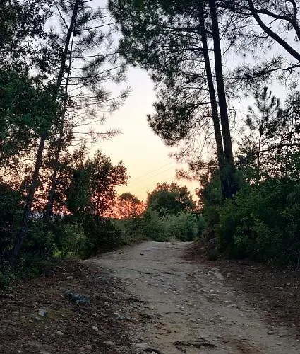 La Closerie De La Ceze Nyaraló Cornillon