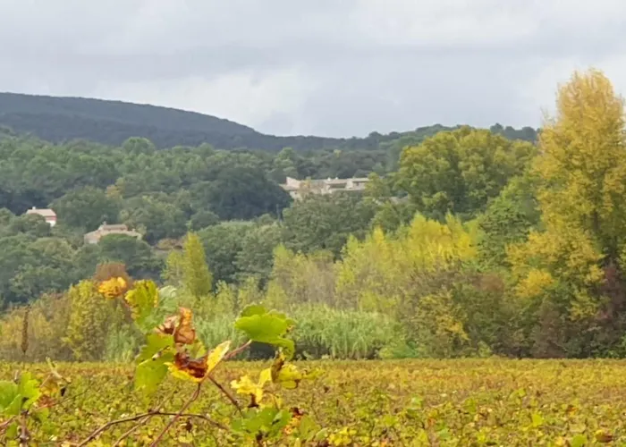 Nyaraló La Closerie De La Ceze *